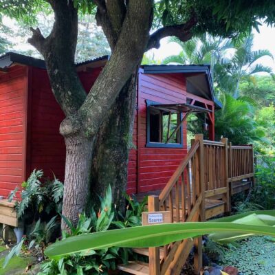 GITES DESHAIES - LOCATION DE VACANCES GUADELOUPE - LE MORNE AUX FOUS - CABANE DE LA SOURCE - 1