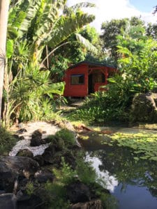 Gites deshaies - bungalow en bois - cabane de la source