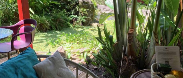 GITES DESHAIES - LOCATION DE VACANCES GUADELOUPE - LE MORNE AUX FOUS - CABANE DU VOYAGEUR - 12