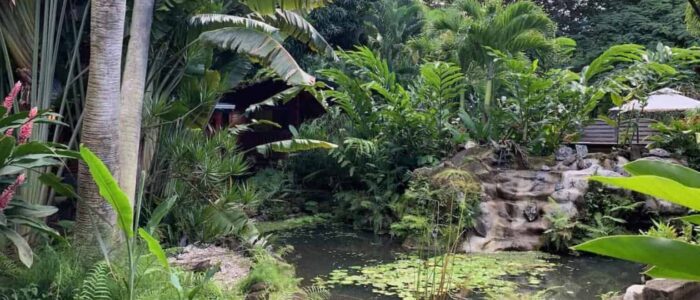 cropped-GITES-DESHAIES-LOCATION-DE-VACANCES-GUADELOUPE-LE-MORNE-AUX-FOUS-jardin-tropical-artistique-113.jpeg